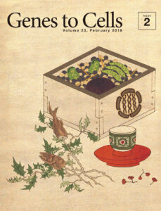 節分の枡と豆で表す細胞内部のジャングル