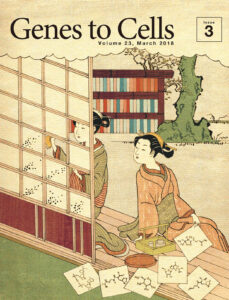 障子に血中代謝産物間の相関を描く