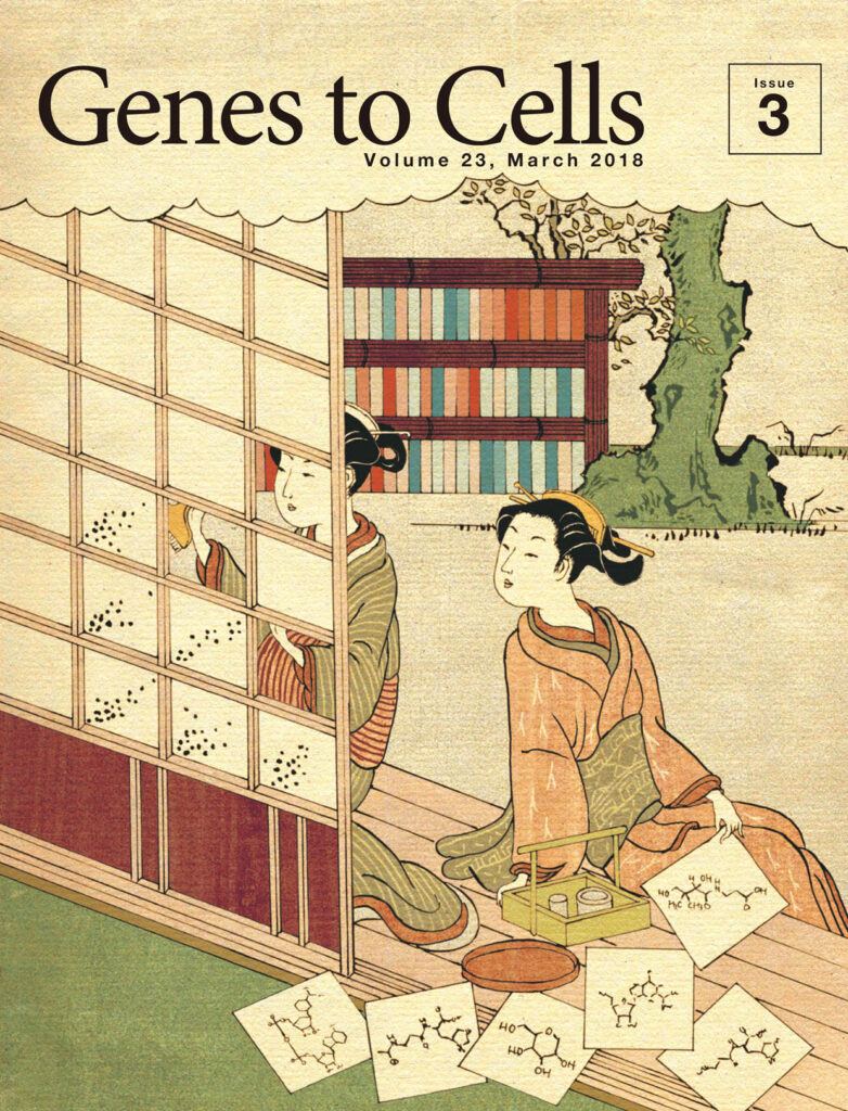 障子に血中代謝産物間の相関を描く
