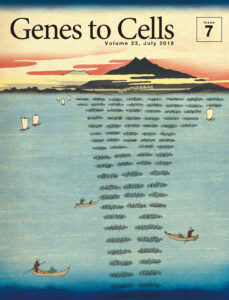 RNA-seqのカバレッジのように見える山