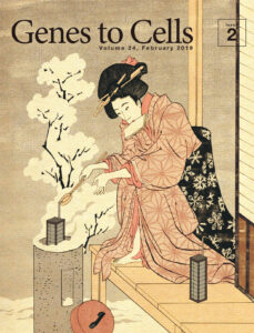 雪中液体窒素凍結試料取出之図