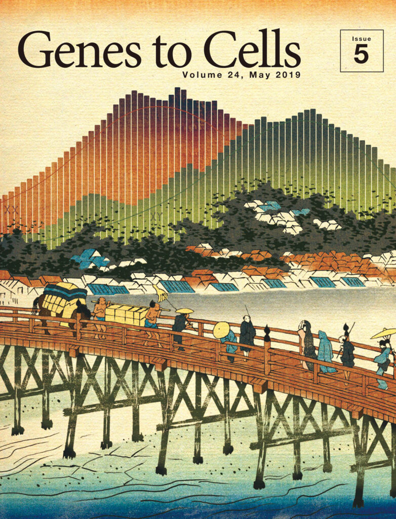 連山に投影された睡眠時間の雌雄差