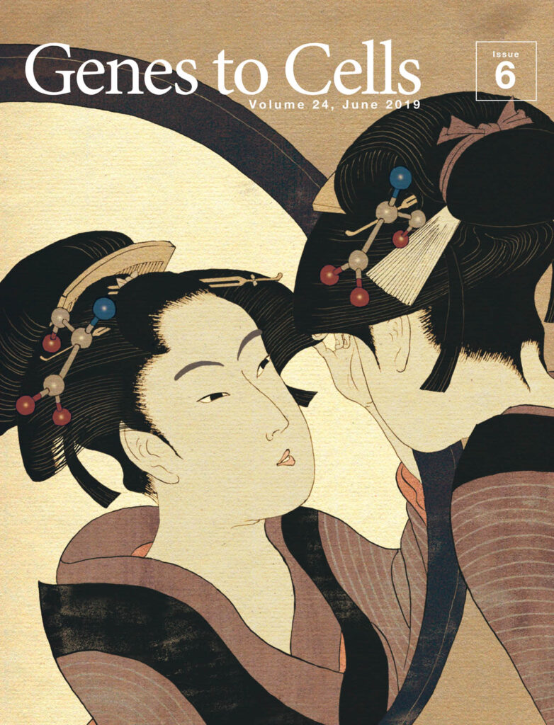 鏡像異性体かんざし