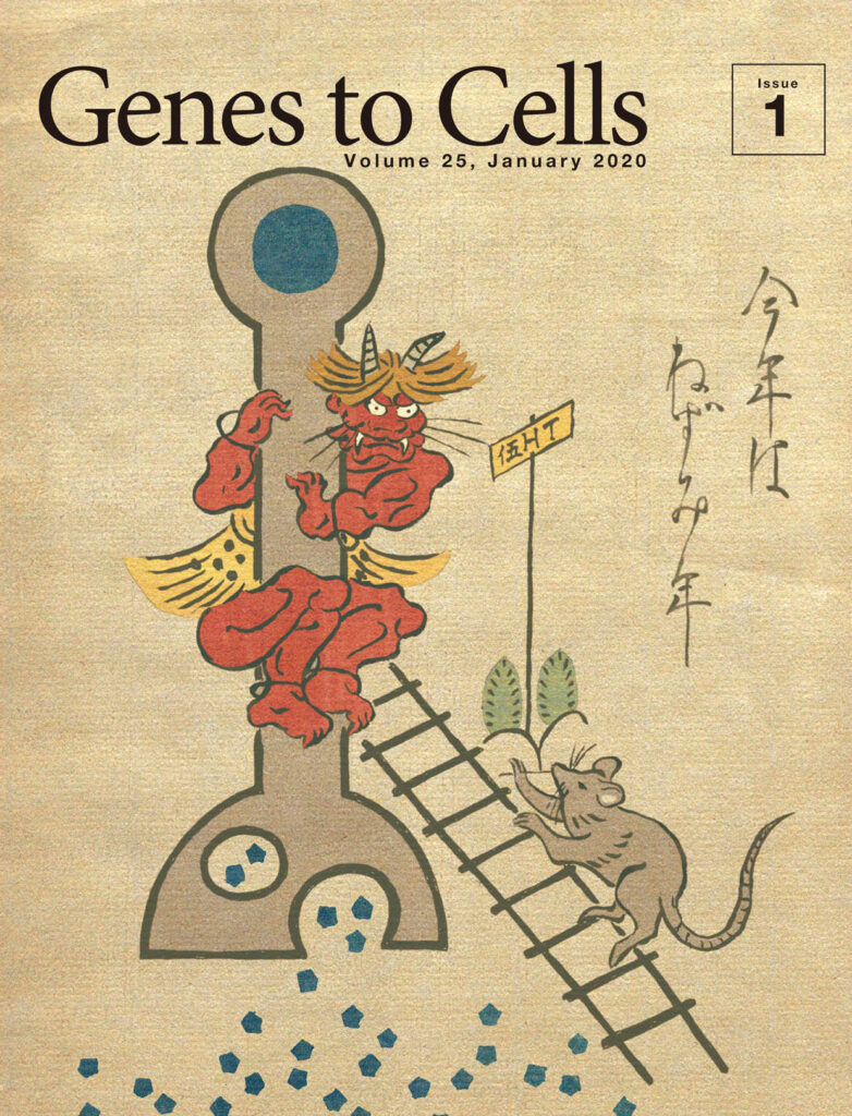 ネズミの攻撃的行動に追い詰められる鬼