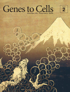 富士山に細胞外小胞を浴びせる登龍