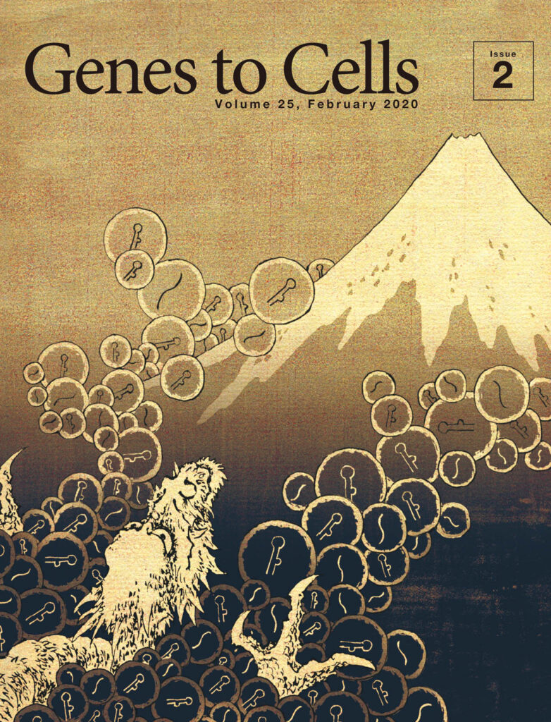 富士山に細胞外小胞を浴びせる登龍