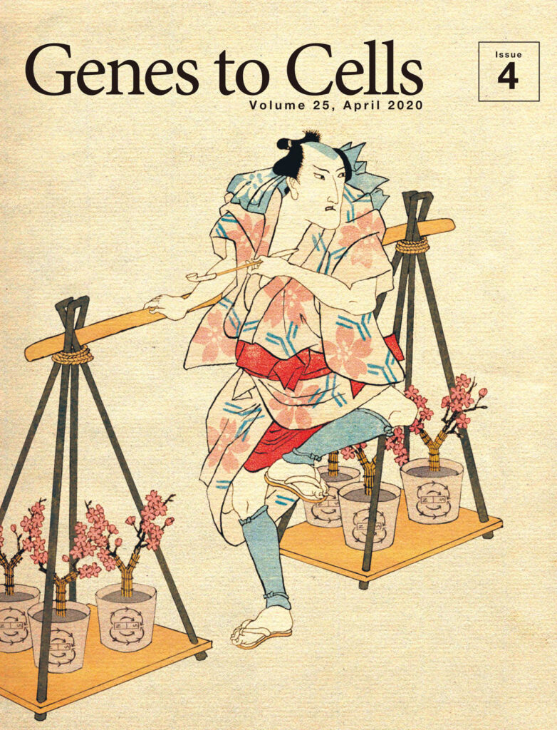 春の新作鉢植え「マグネティック免疫沈降桜」