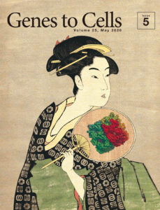 着物を彩るクライオ電顕の単粒子解析像