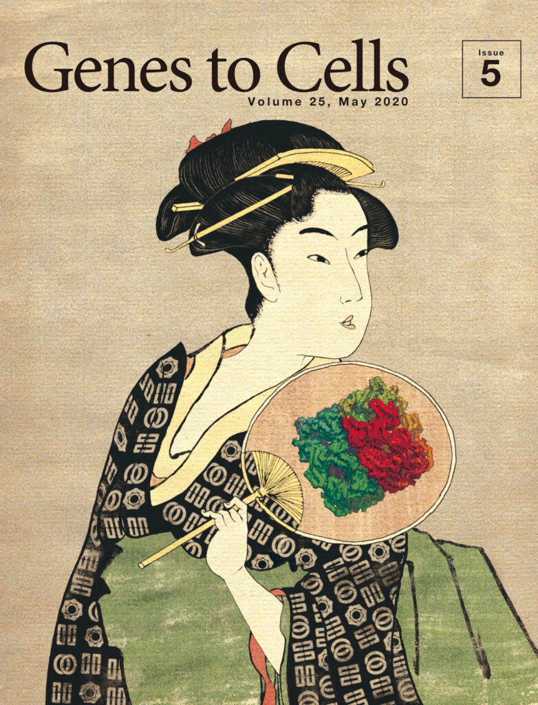 着物を彩るクライオ電顕の単粒子解析像