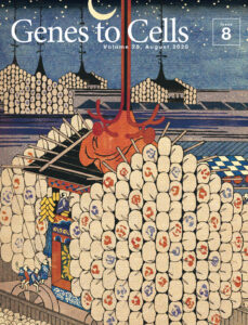 祇園祭に複眼鉾が登場