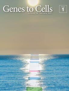 年の始めの初泳動