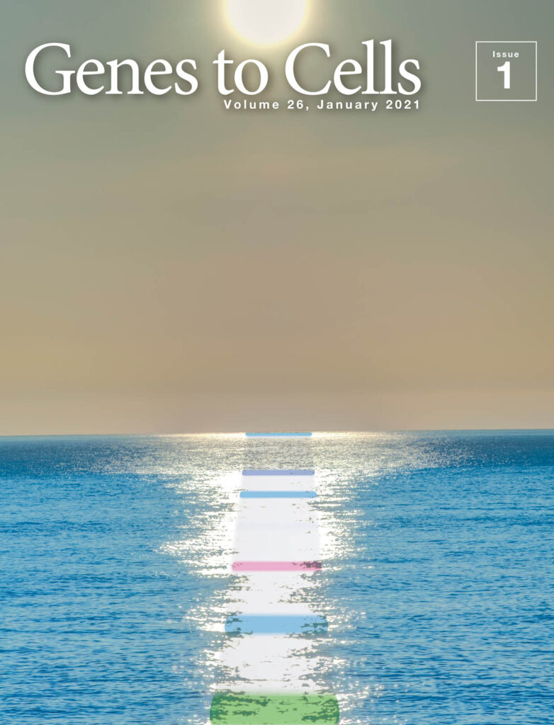 年の始めの初泳動