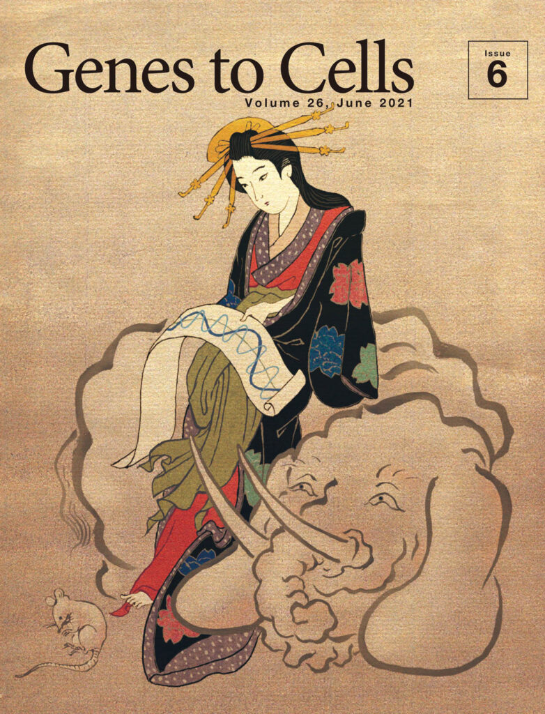 ゾウの時間、ヒトの時間、ネズミの時間