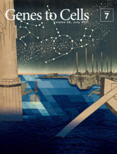 七夕の夜にscRNAseqが描く代謝経路の星座