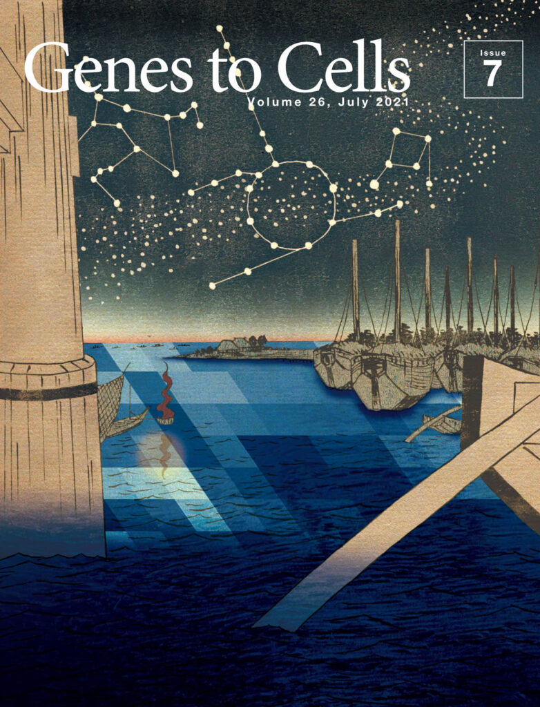 七夕の夜にscRNAseqが描く代謝経路の星座