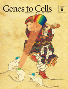 不可能を可能に　著しく進歩する光遺伝学