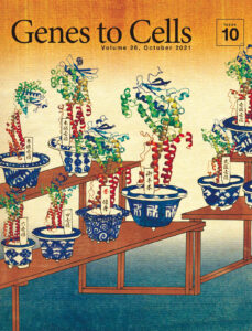 タンパク質立体構造予測の品評会