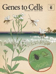 生態系の命運を左右するキーストーン遺伝子