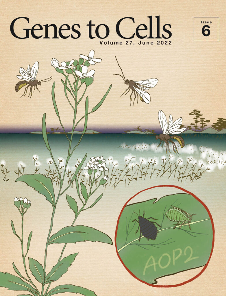 生態系の命運を左右するキーストーン遺伝子