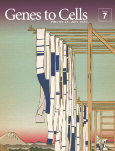 ついに解消されたヒトゲノムの未解読部分