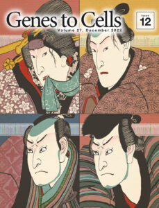 他人の空似の背景にあるSNPの一致