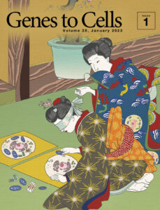 正月に楽しむオルガネラ福笑い