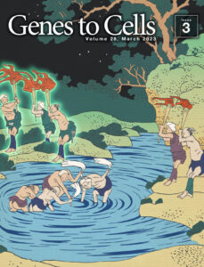 火振り漁の漁師が起こす左向きのノード流