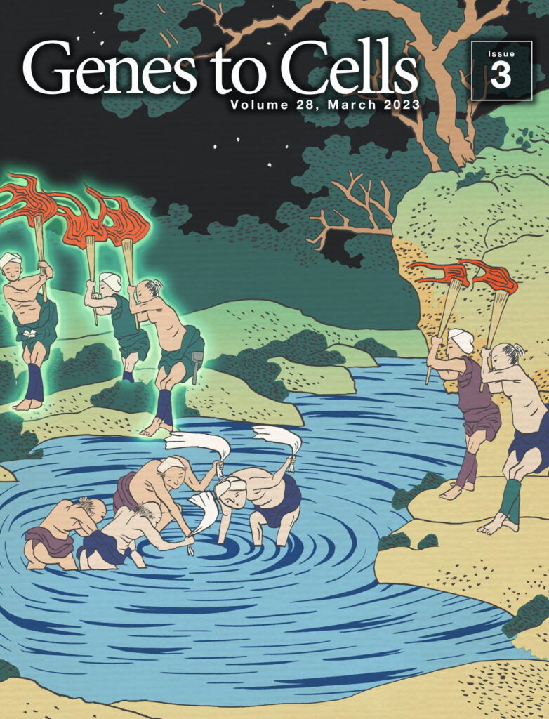 火振り漁の漁師が起こす左向きのノード流