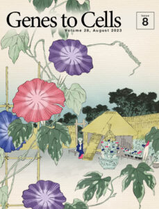 非ドメイン型バイオポリマーの開花