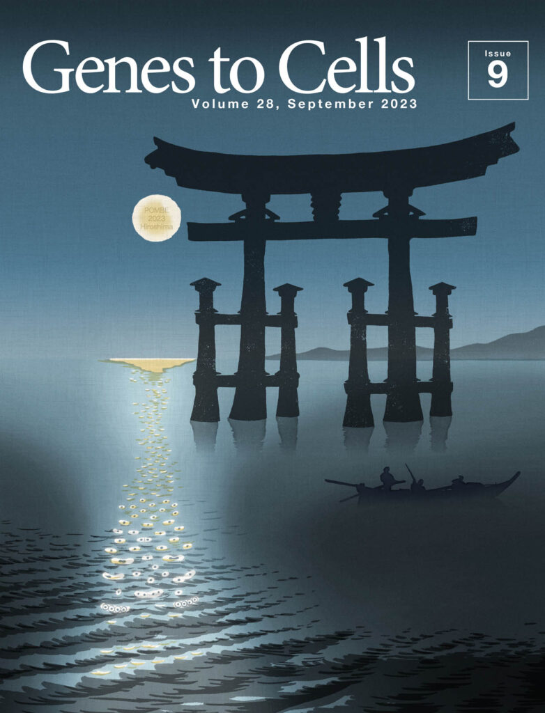 分裂酵母国際会議 in 広島