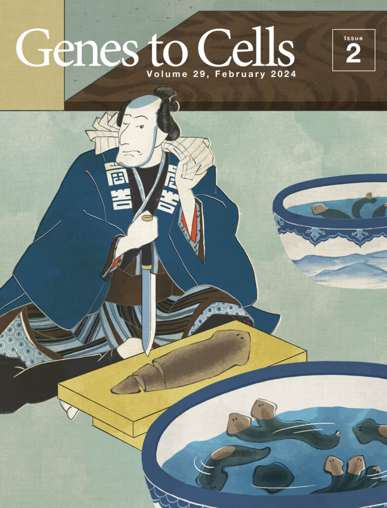 いなせな魚屋がプラナリアを切り刻む