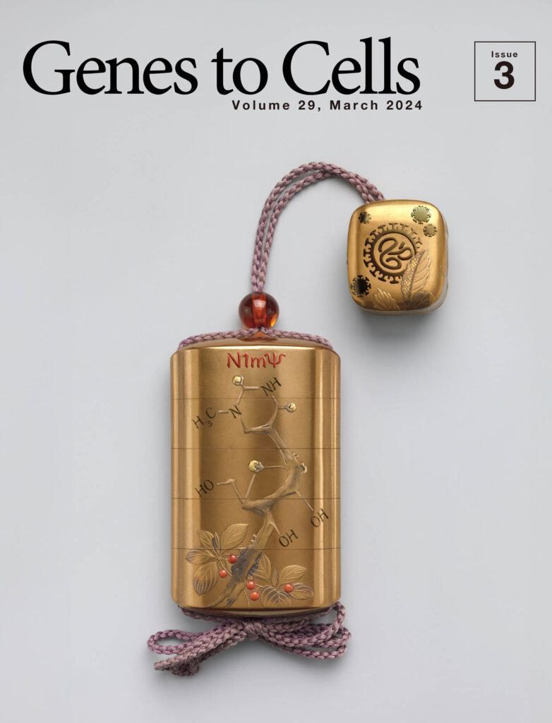 mRNAワクチンの成功を記念する印籠