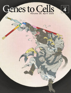 TBXT遺伝子にAluYが刺さって尻尾を失う孫悟空