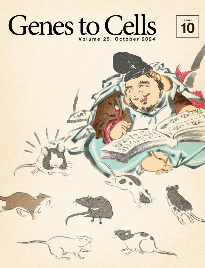 パンダマウス作製成功に喜ぶえびす