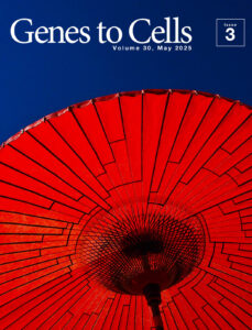 和傘に映える系統樹