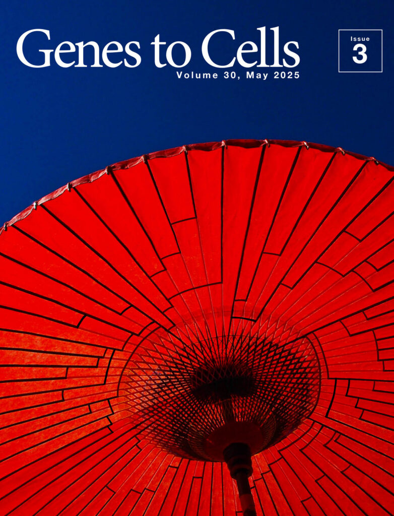 和傘に映える系統樹