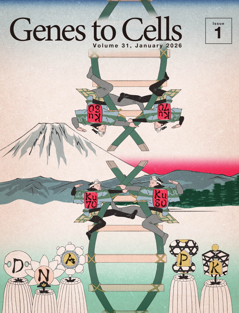 DNA依存性プロテインキナーゼが登場する出初式